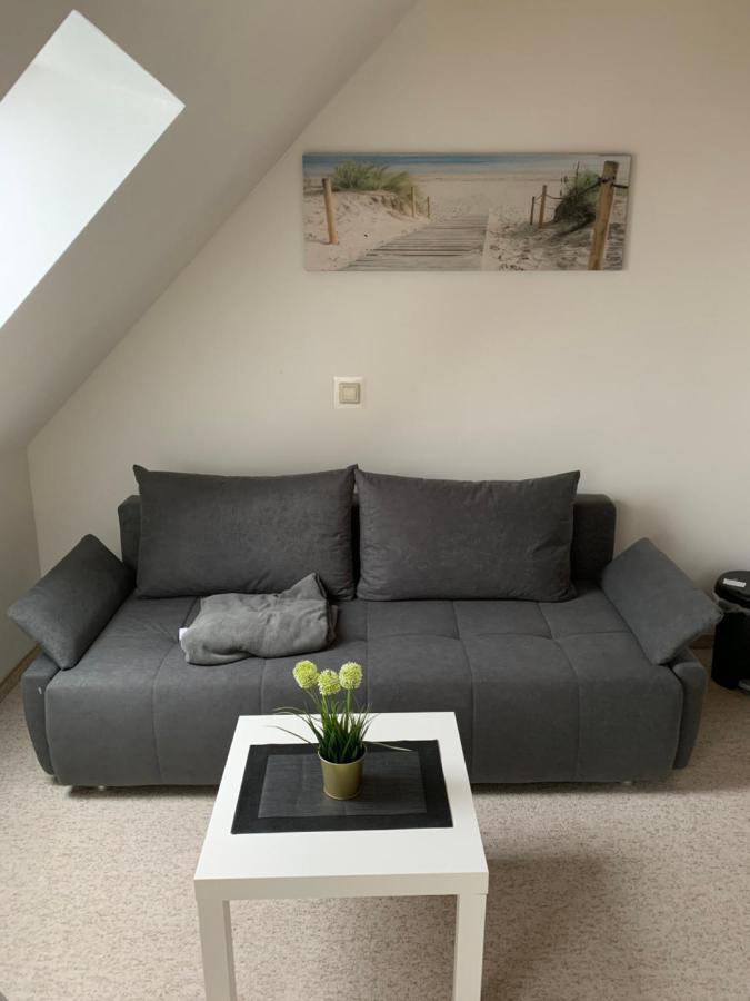 יינה Apartment Am Goethe Park מראה חיצוני תמונה