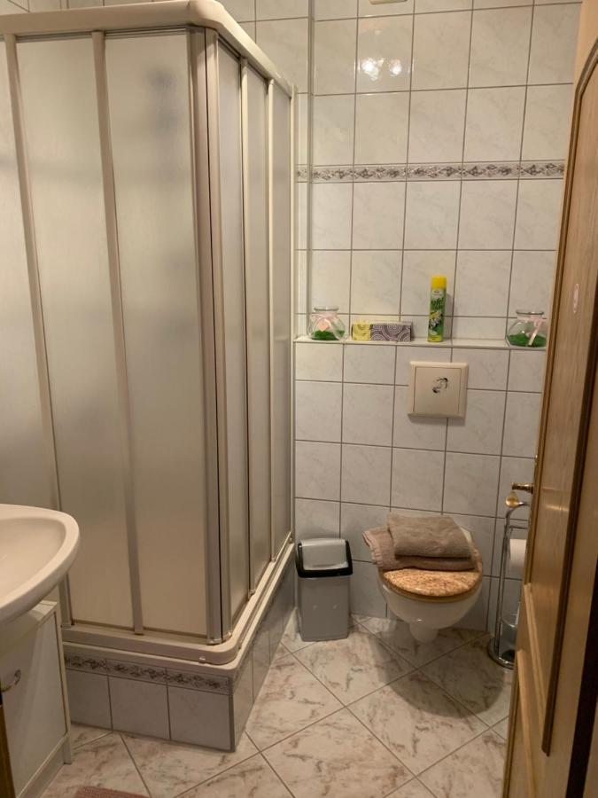 יינה Apartment Am Goethe Park מראה חיצוני תמונה
