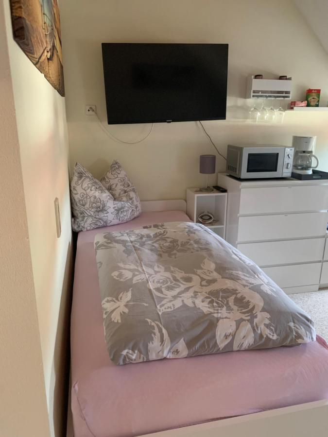 יינה Apartment Am Goethe Park מראה חיצוני תמונה