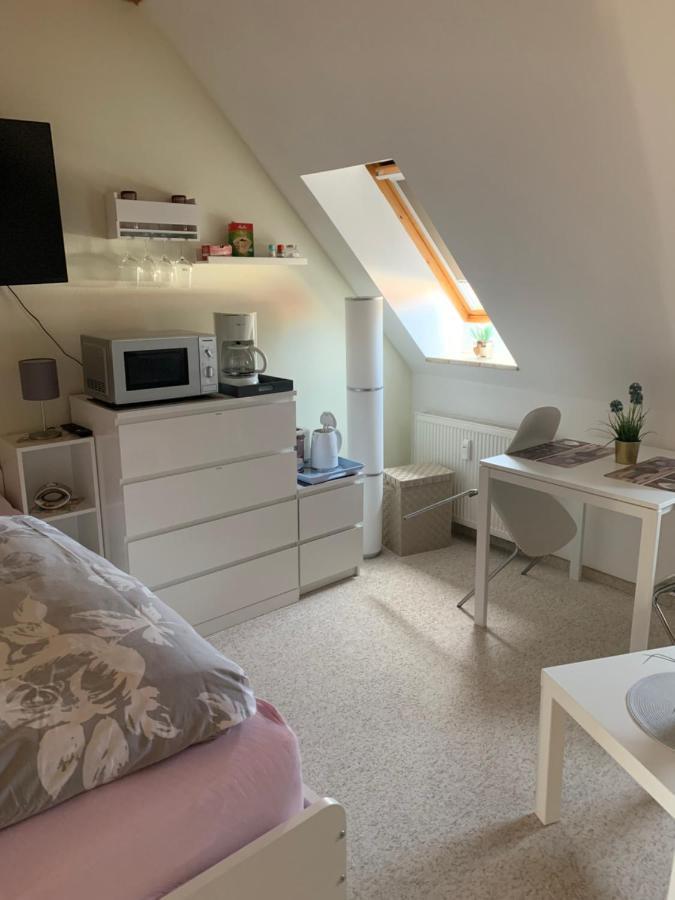 יינה Apartment Am Goethe Park מראה חיצוני תמונה